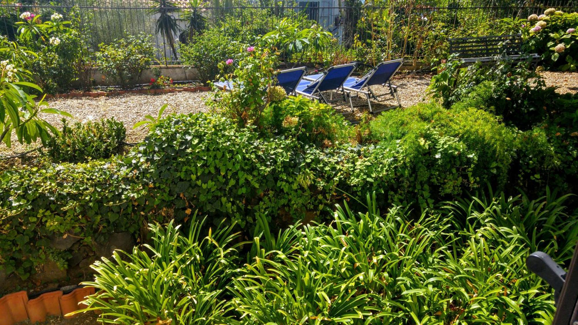 Couette-café Ortensia 3*